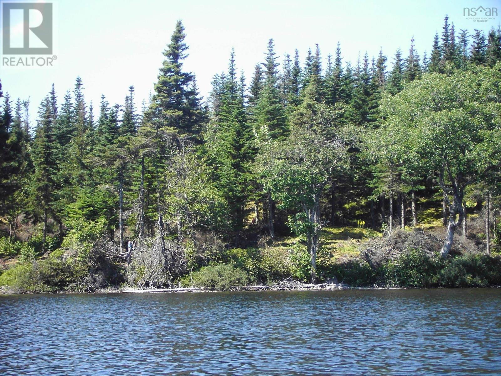 45 Joanne Langford Dr, French Road, Nova Scotia  B1K 3P9 - Photo 11 - 202605728