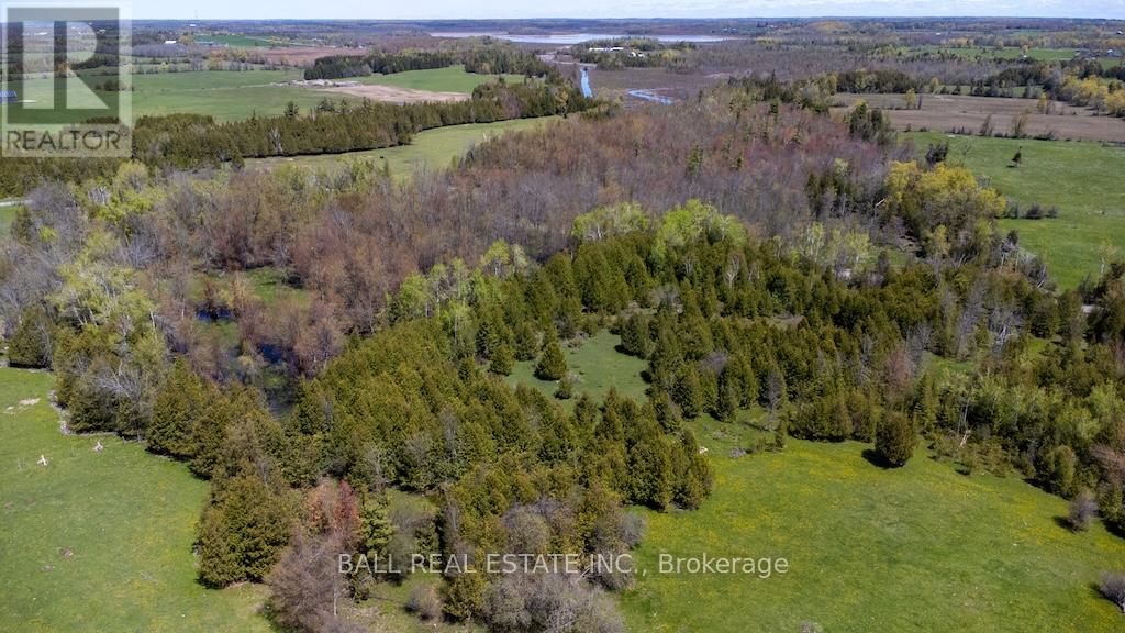4131 County Rd 32, Douro-Dummer, Ontario  K0L 2H0 - Photo 41 - X13157002
