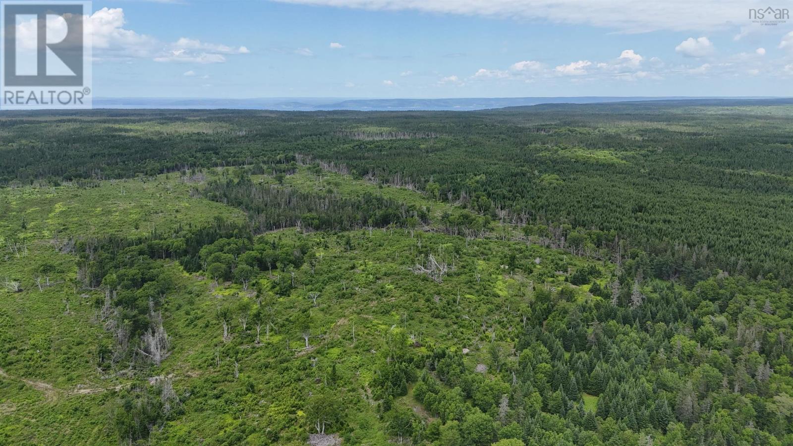1191 Hay Cove Road, Lochside, Nova Scotia  B0E 3B0 - Photo 13 - 202617531