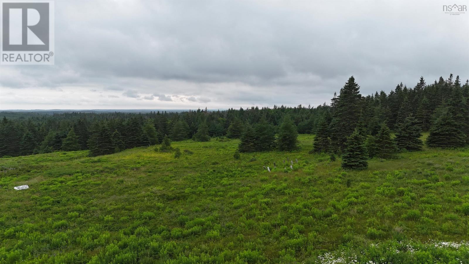 1191 Hay Cove Road, Lochside, Nova Scotia  B0E 3B0 - Photo 9 - 202617531