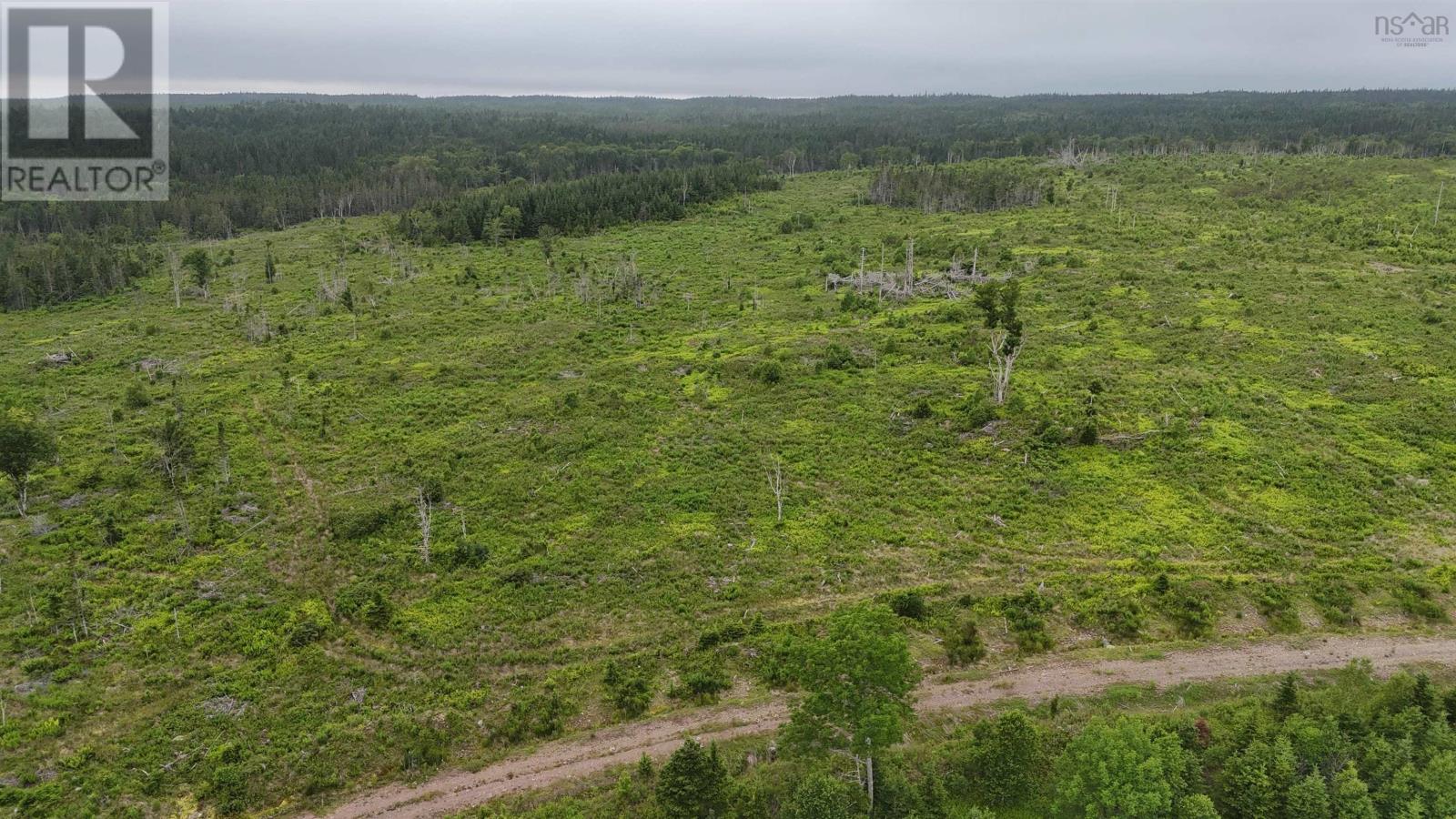 1191 Hay Cove Road, Lochside, Nova Scotia  B0E 3B0 - Photo 25 - 202617531
