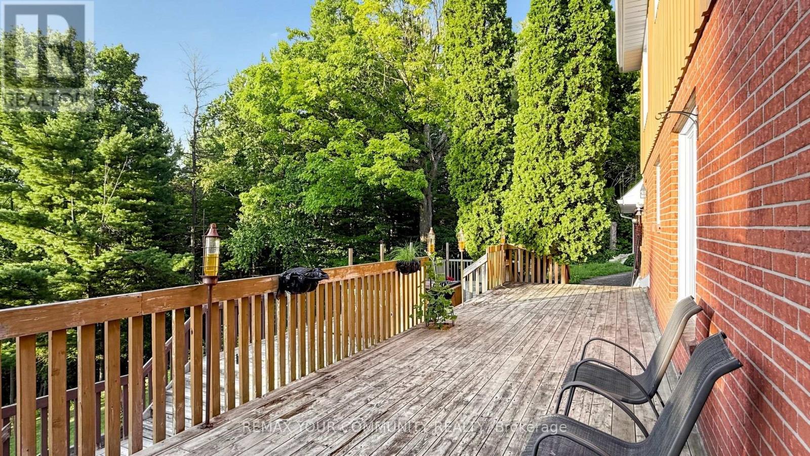 243 Ridge Road, Aurora, Ontario L4G 0M3 - Photo 46 - N13715534