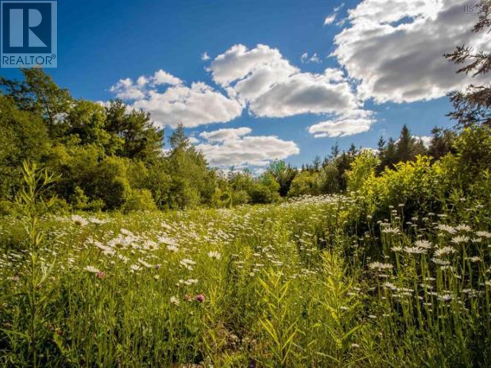 Lot A4 Aylesford Road, Lake Paul, Nova Scotia  B0P 1C0 - Photo 5 - 202507755