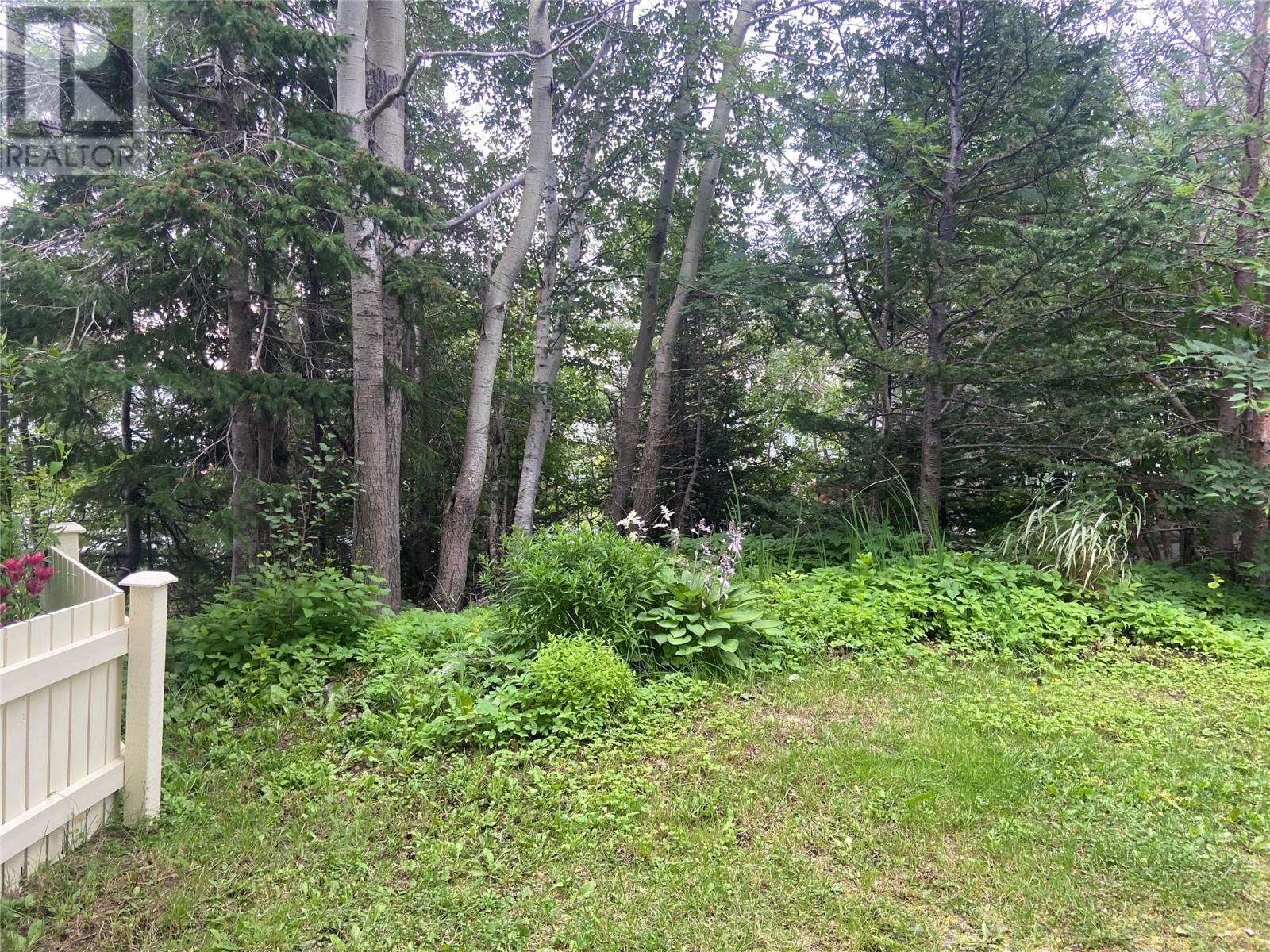 212 Main Street, Carmanville, Newfoundland & Labrador  A0G 1N0 - Photo 35 - 1298271