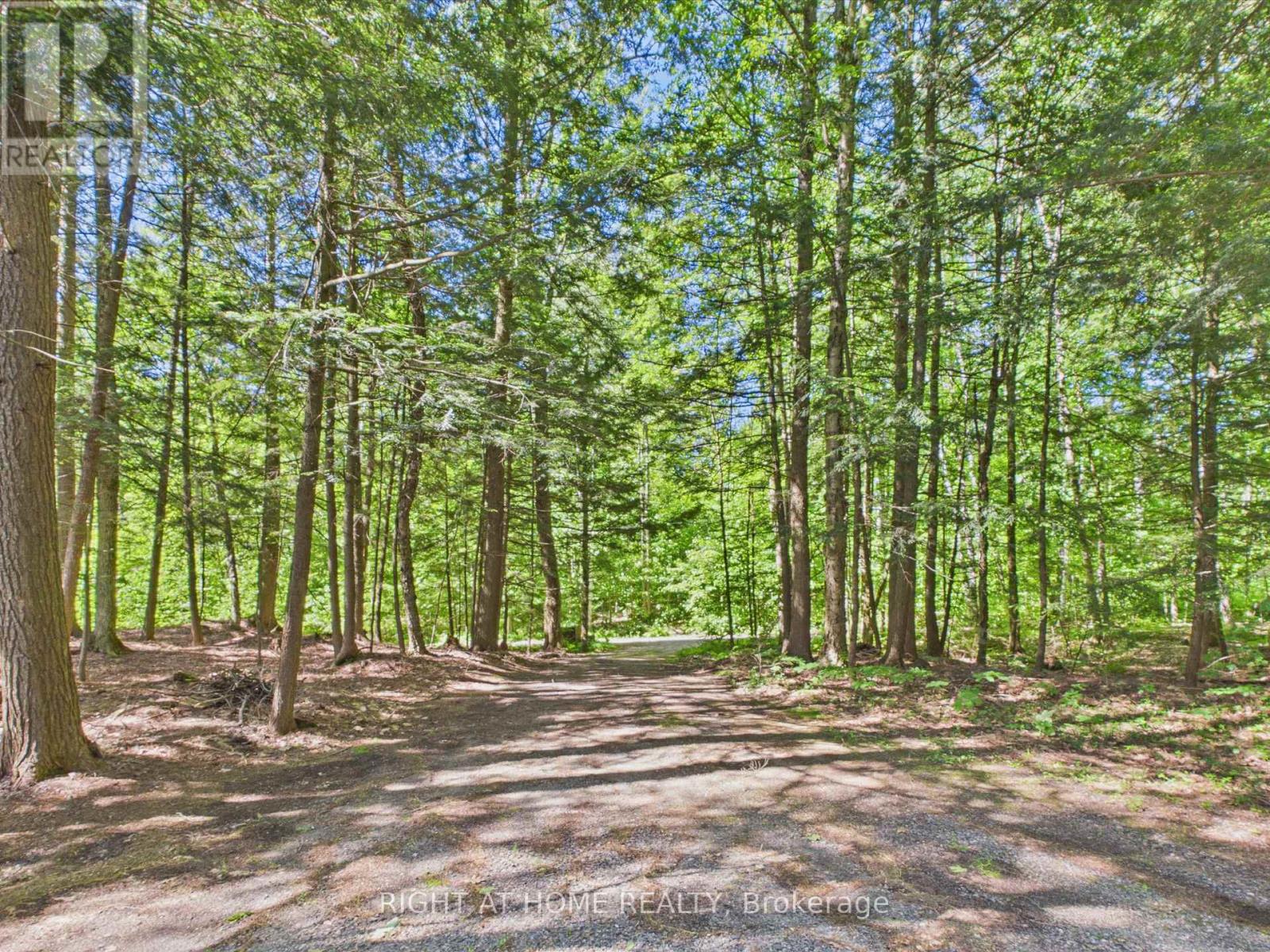 1527 Moon River Road, Muskoka Lakes, Ontario  P0C 1H0 - Photo 33 - X13721070