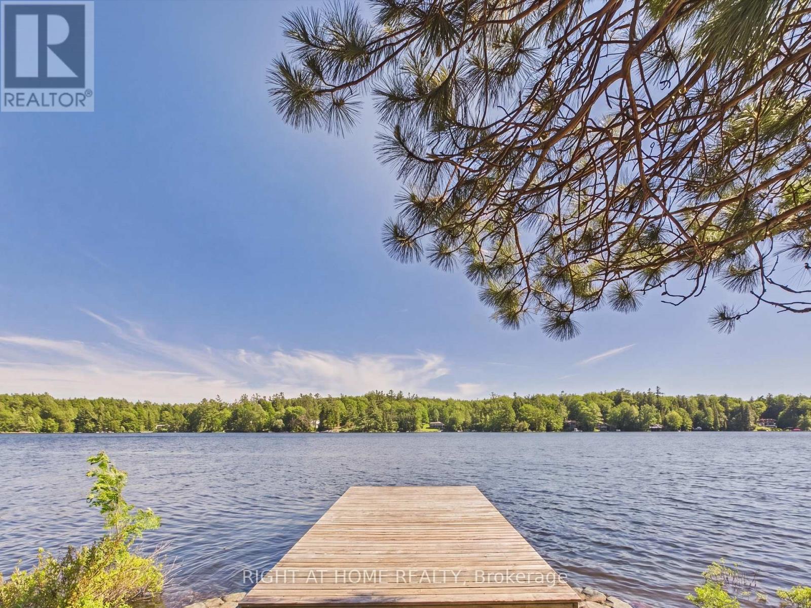 1527 Moon River Road, Muskoka Lakes, Ontario  P0C 1H0 - Photo 4 - X13721070
