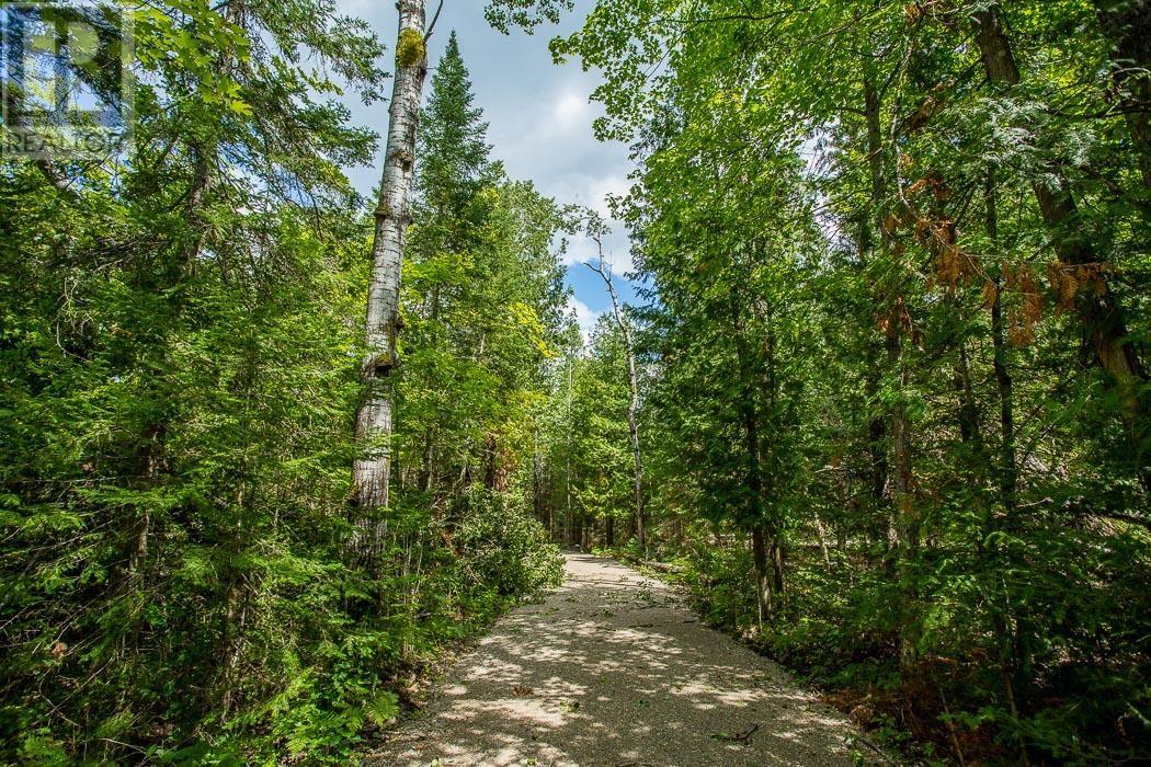 Lot 28 Richmond Bay Rd, Hilton Township, St. Joseph Island, Ontario  P0R 1G0 - Photo 15 - SM252930