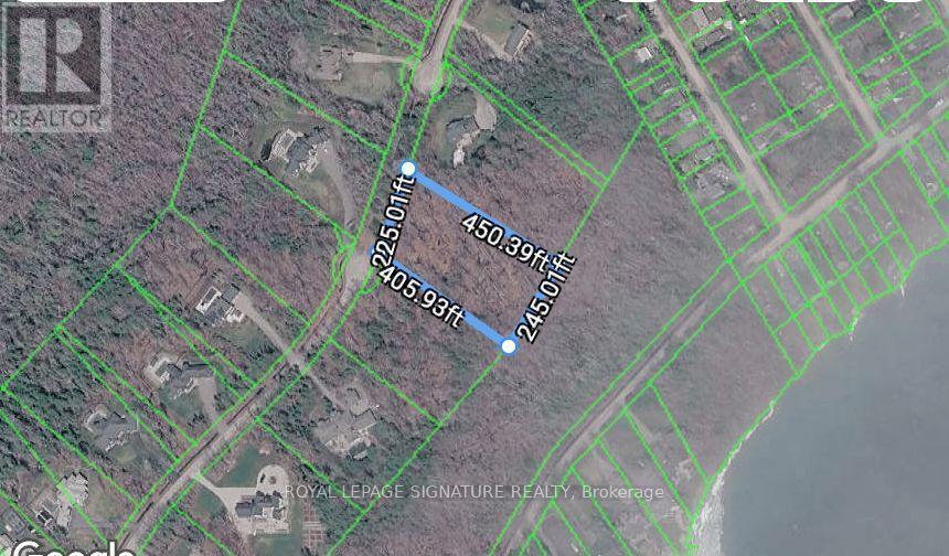 13 Windfields Drive, Oro-Medonte, Ontario L0L 2E0 - Photo 10 - S13721208