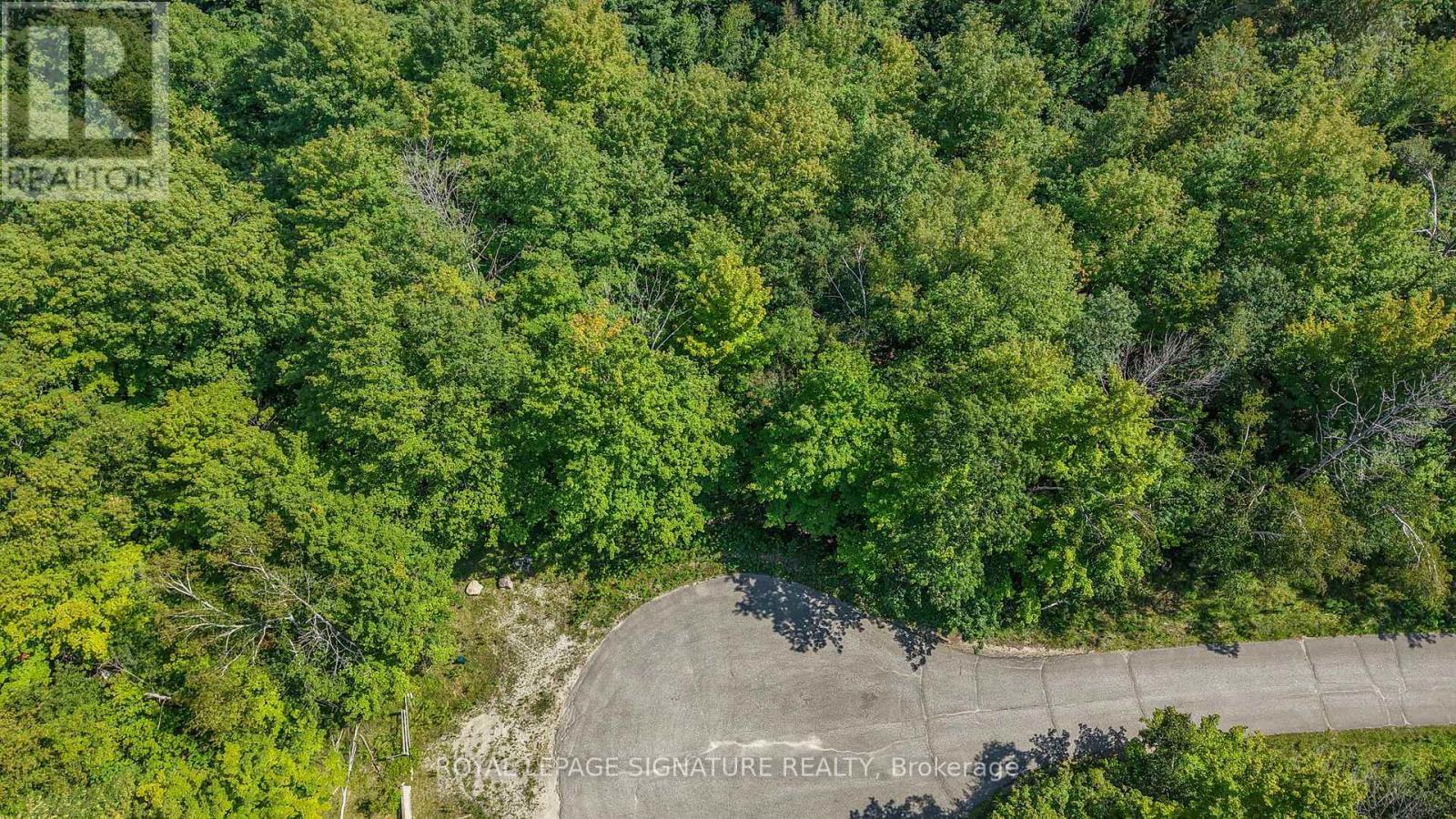 13 Windfields Drive, Oro-Medonte, Ontario L0L 2E0 - Photo 5 - S13721208