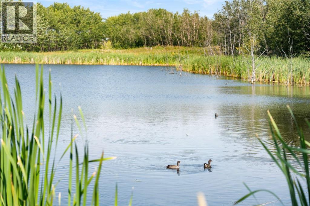 7 Alexa Close, Rural Rocky View County, Alberta  T3R 1B9 - Photo 47 - A2339822