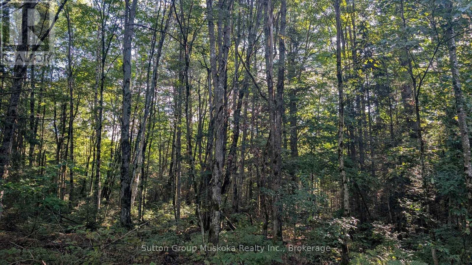 194 Clarkes Lane, Huntsville, Ontario  P0B 1M0 - Photo 3 - X13721256