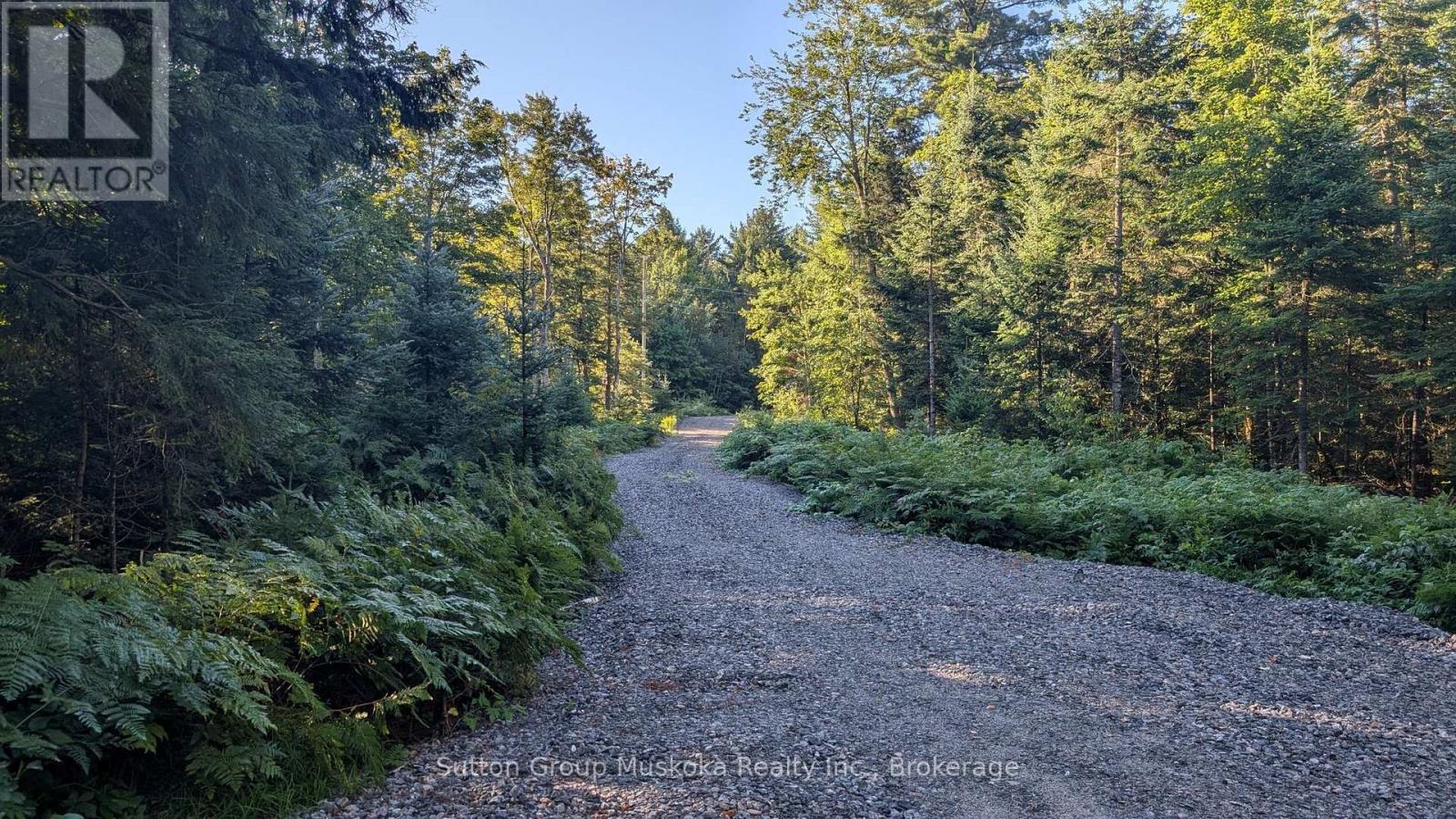 194 Clarkes Lane, Huntsville, Ontario  P0B 1M0 - Photo 5 - X13721256