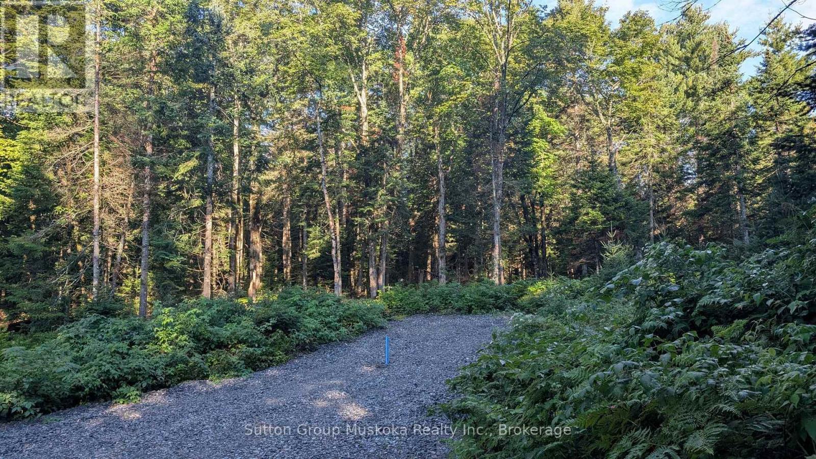 194 Clarkes Lane, Huntsville, Ontario  P0B 1M0 - Photo 6 - X13721256