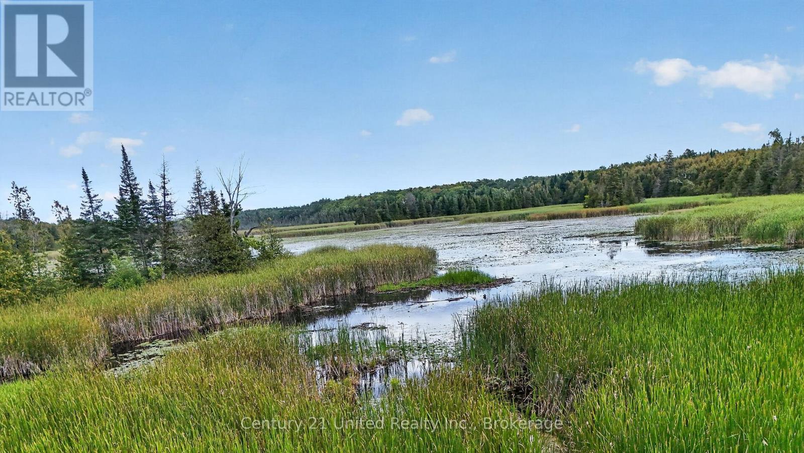 2619 Buckhorn Road, Selwyn, Ontario  K0L 2H0 - Photo 50 - X13721494