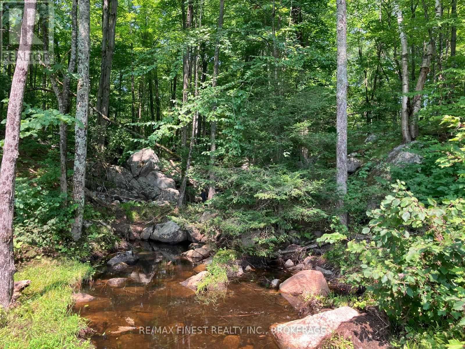 119 Kennebec Road, Addington Highlands, Ontario  K0H 2G0 - Photo 11 - X13721482