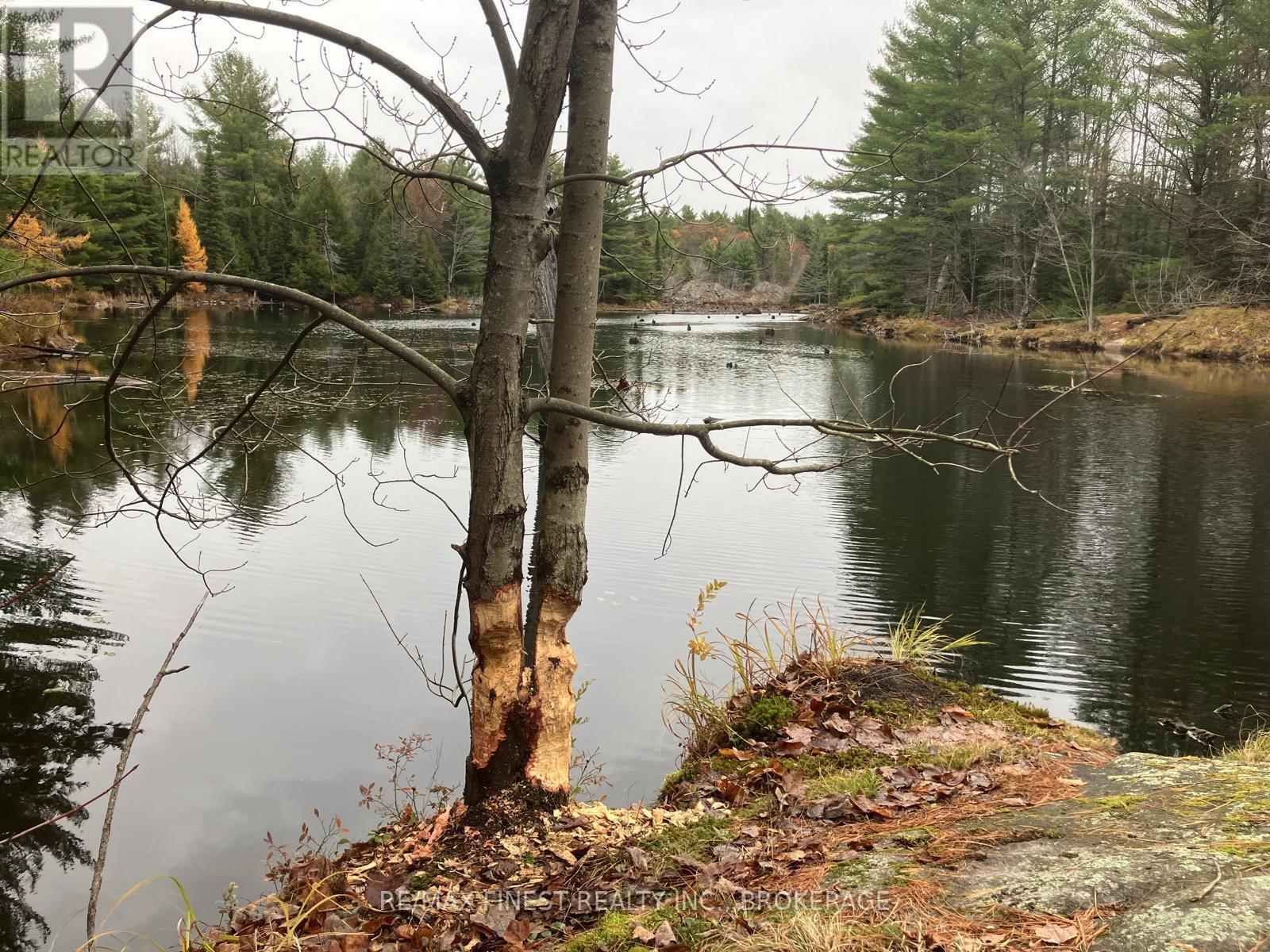 119 Kennebec Road, Addington Highlands, Ontario  K0H 2G0 - Photo 7 - X13721482