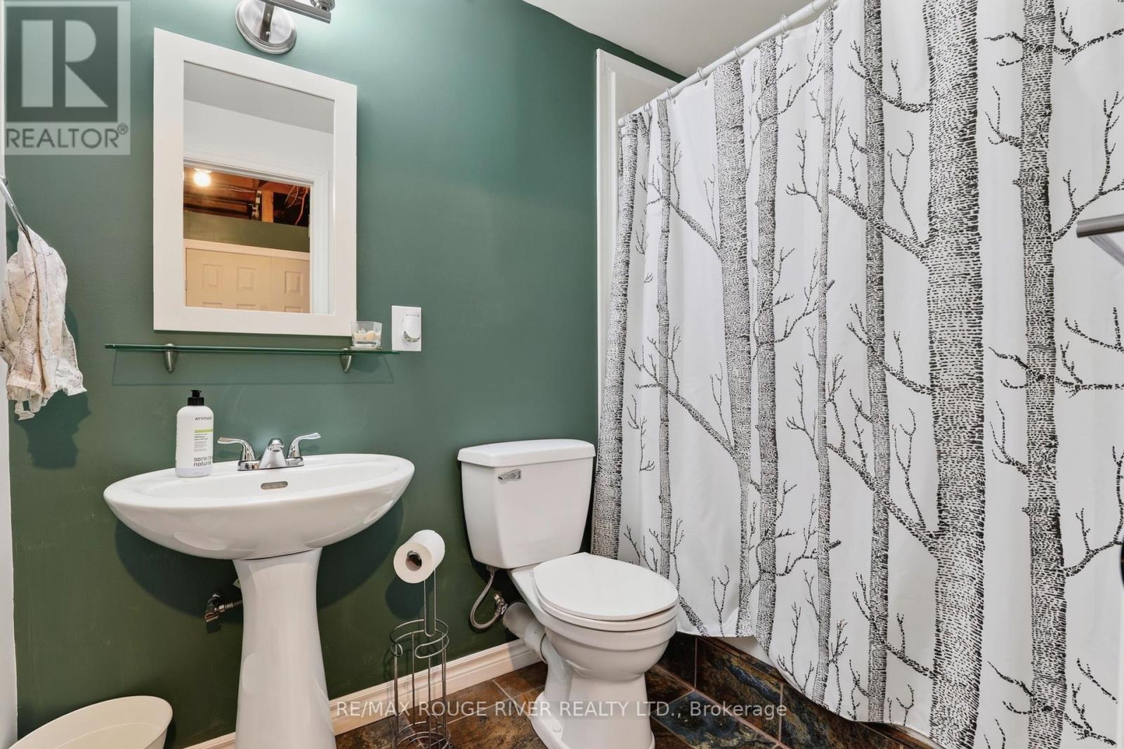 33 Creek Drive, Georgina, Ontario  L0E 1N0 - Photo 36 - N13721524