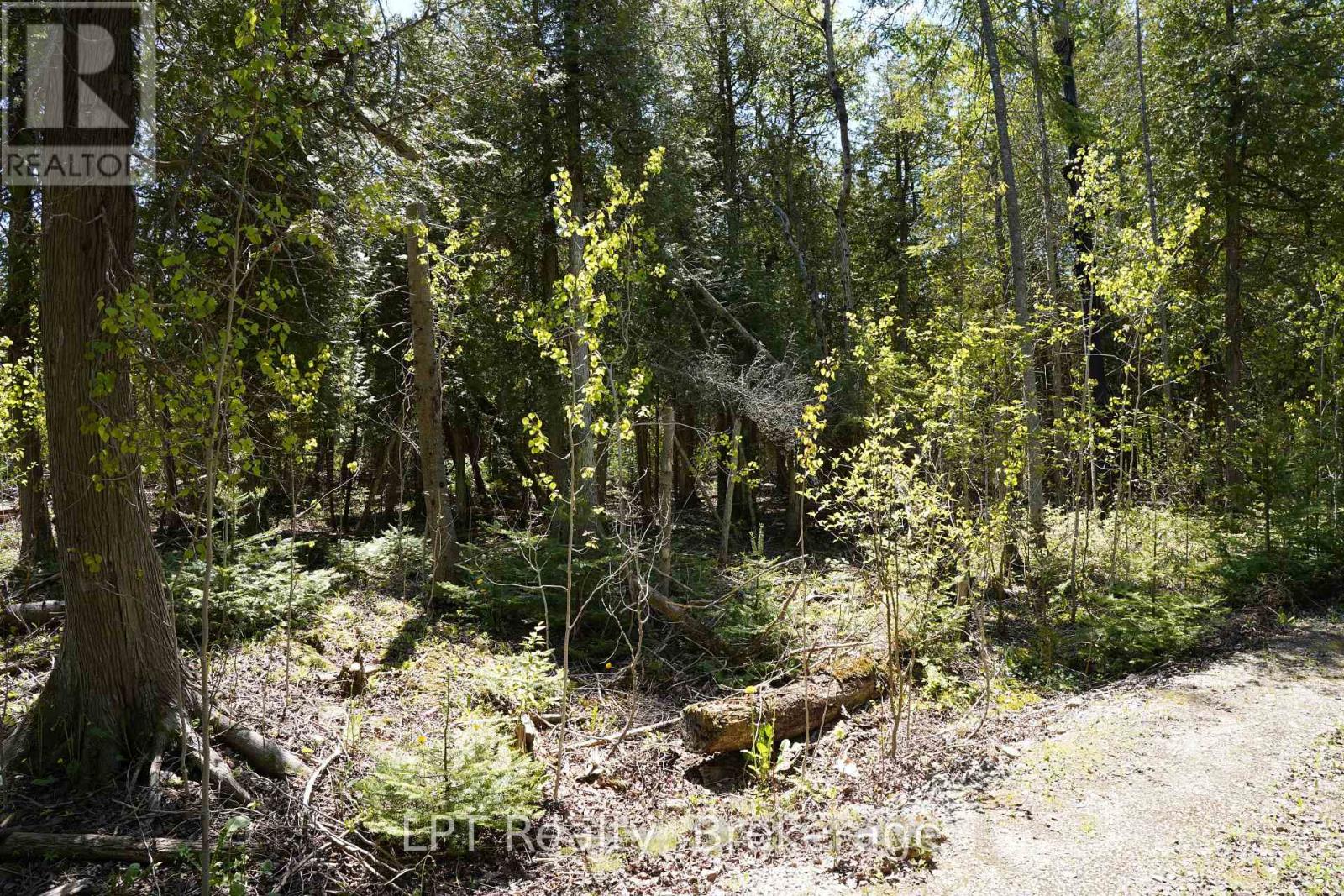 Pt Lt 36 Walter Charman Drive, Northern Bruce Peninsula, Ontario  N0H 2M0 - Photo 19 - X12628256