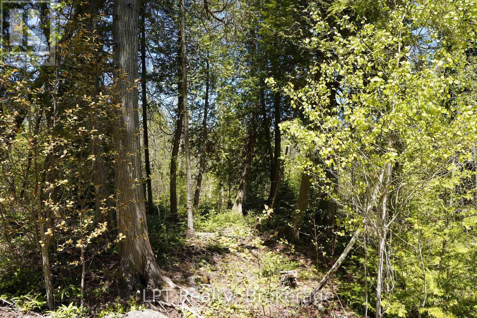 Pt Lt 36 Walter Charman Drive, Northern Bruce Peninsula, Ontario  N0H 2M0 - Photo 6 - X12628256