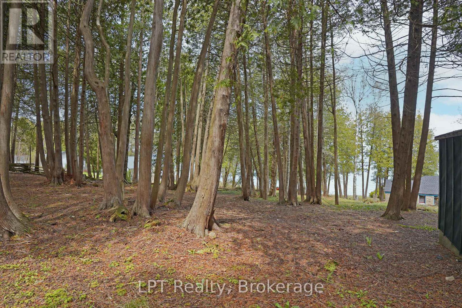 504215 Grey Road 1, Georgian Bluffs, Ontario  N0H 2T0 - Photo 35 - X13132330