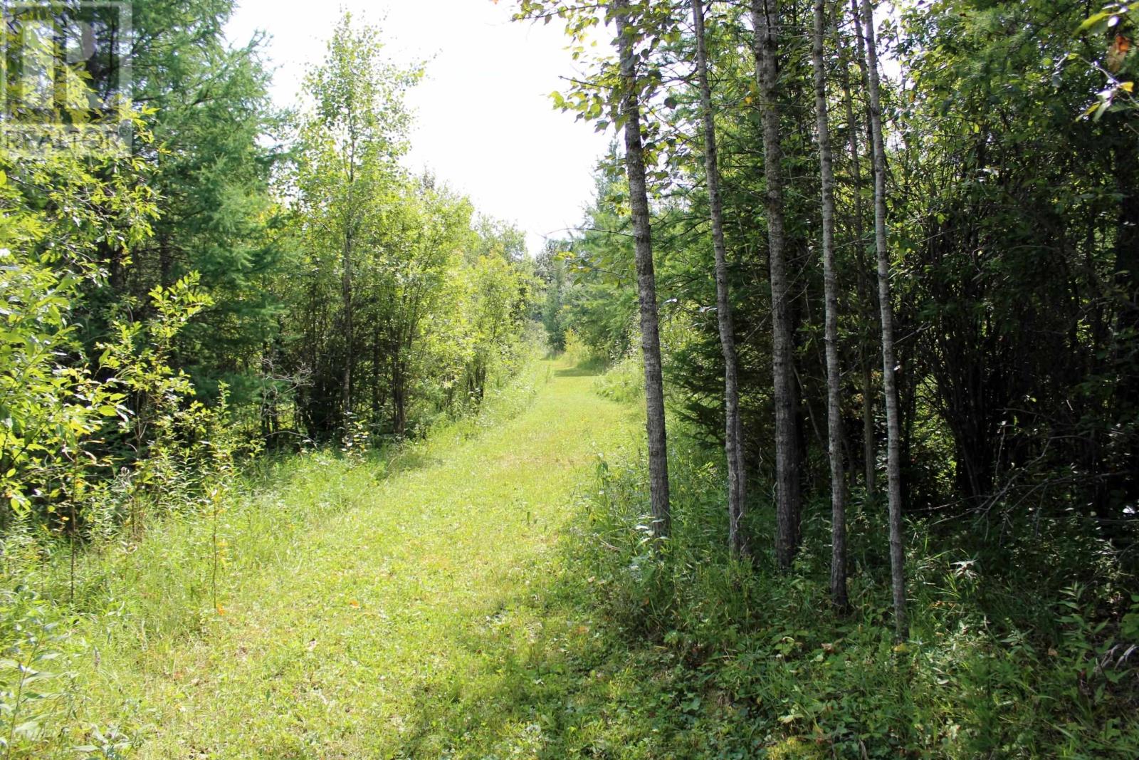 Pcl 13496 Blue Rd 2, Rainy River, Ontario  P0W 1M0 - Photo 23 - TB2602565