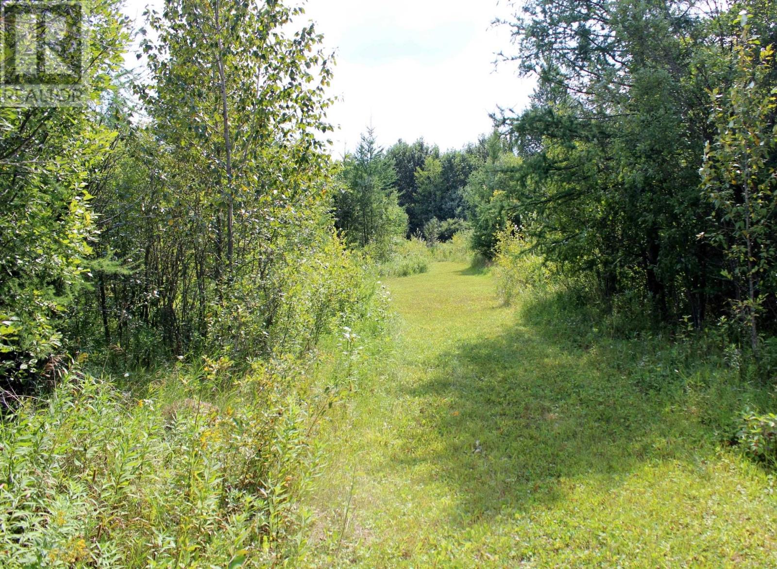 Pcl 13496 Blue Rd 2, Rainy River, Ontario  P0W 1M0 - Photo 24 - TB2602565