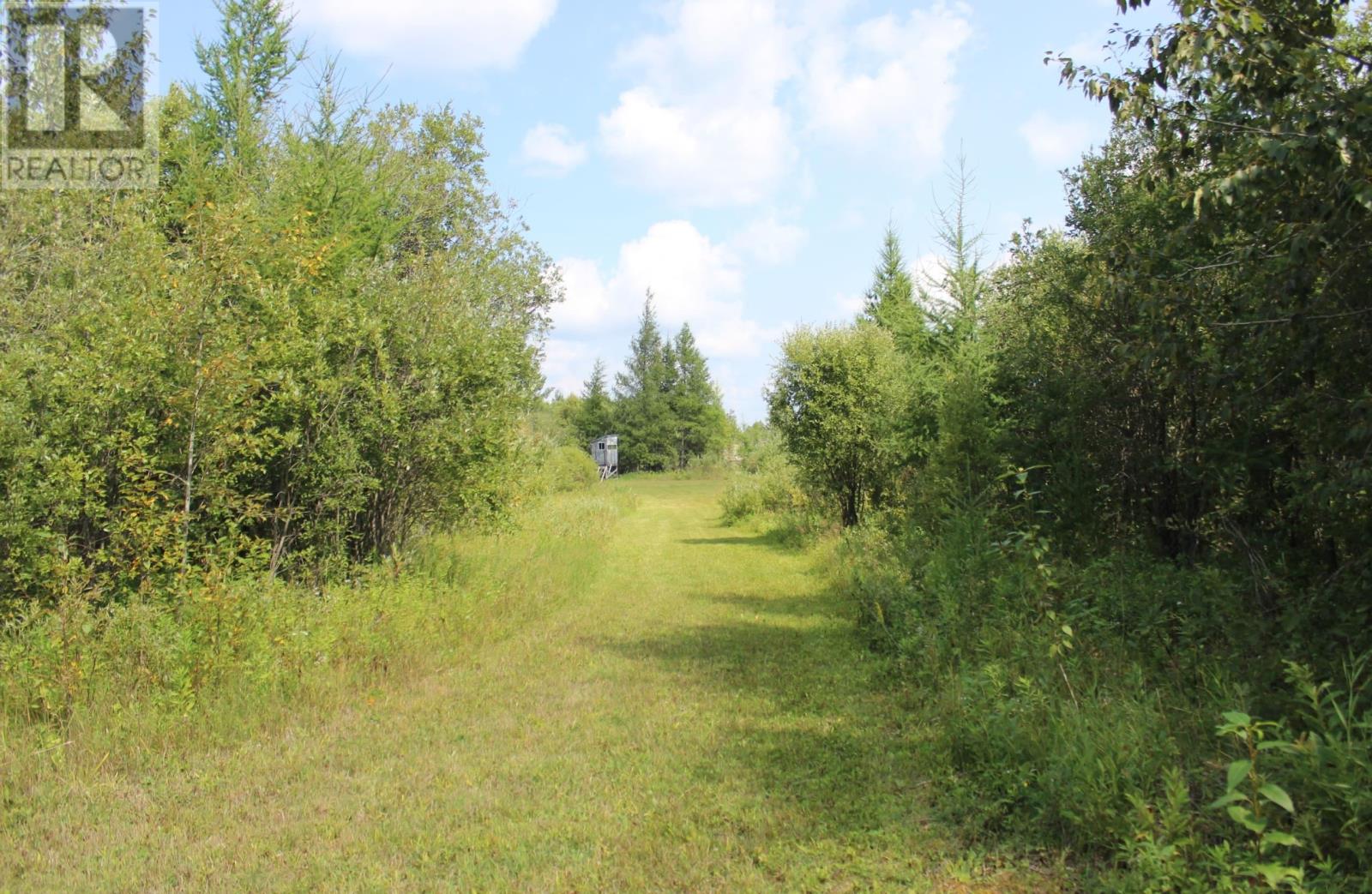 Pcl 13496 Blue Rd 2, Rainy River, Ontario  P0W 1M0 - Photo 25 - TB2602565