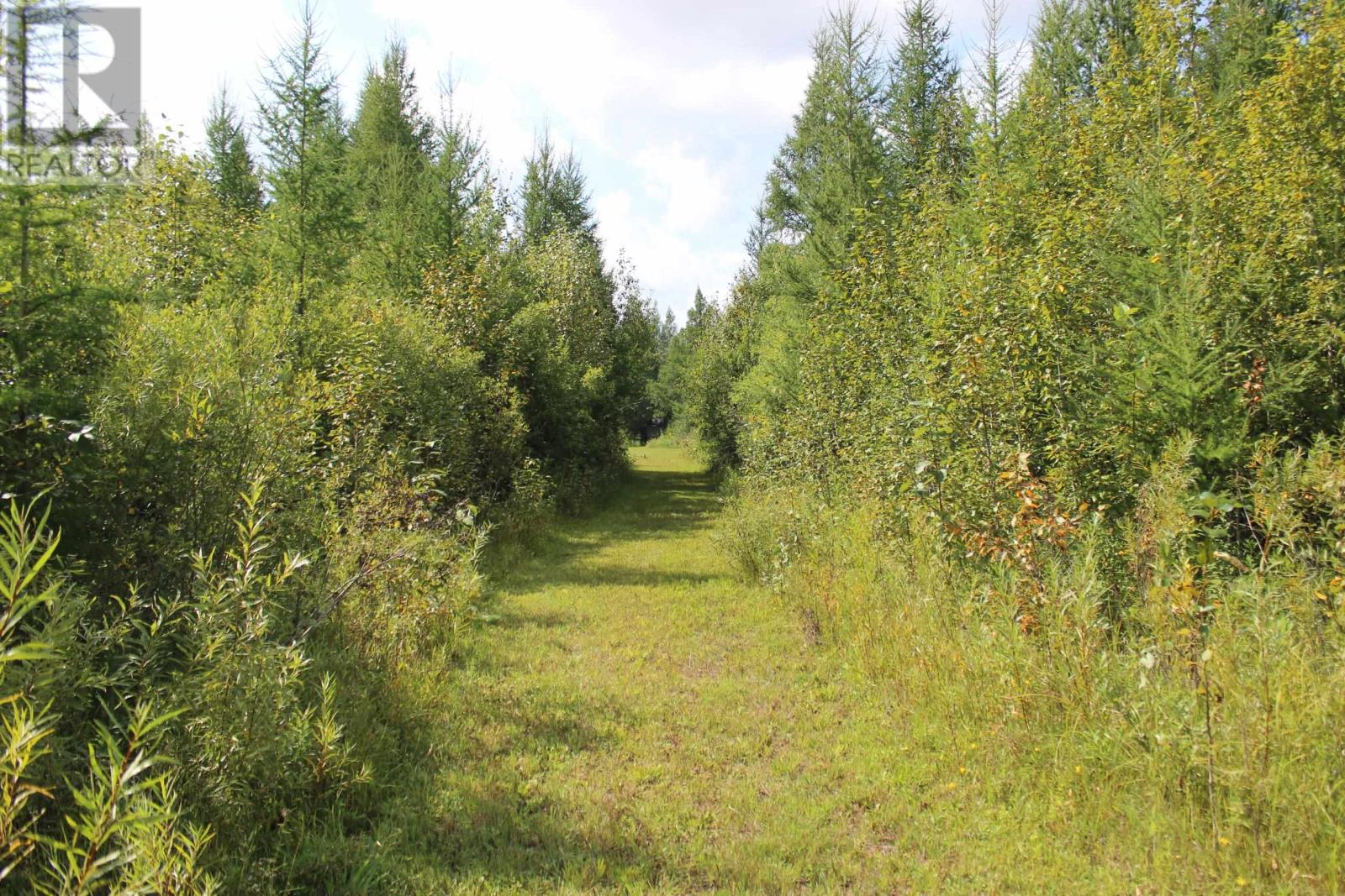 Pcl 13496 Blue Rd 2, Rainy River, Ontario  P0W 1M0 - Photo 30 - TB2602565