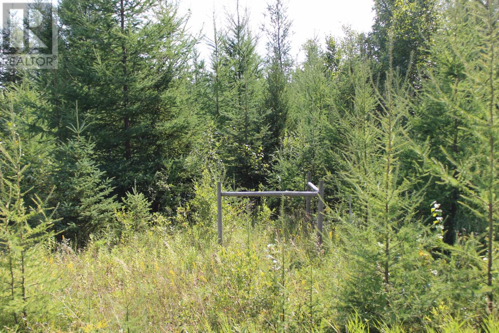 Pcl 13496 Blue Rd 2, Rainy River, Ontario  P0W 1M0 - Photo 36 - TB2602565
