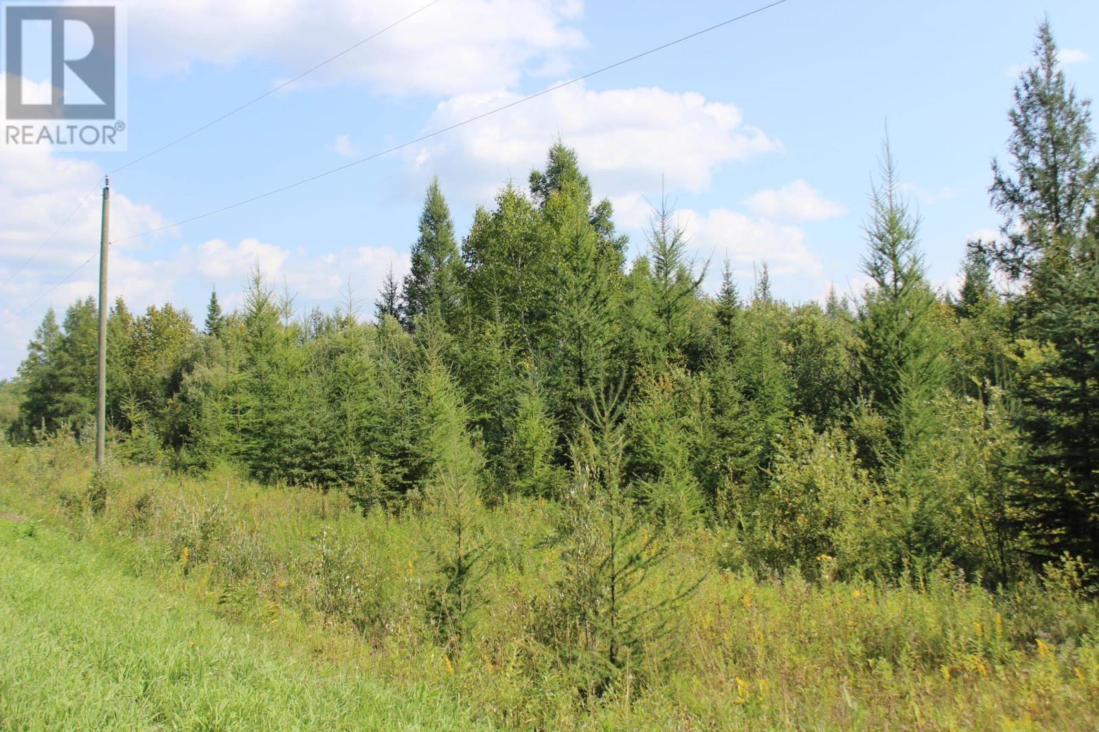 Pcl 13496 Blue Rd 2, Rainy River, Ontario  P0W 1M0 - Photo 37 - TB2602565