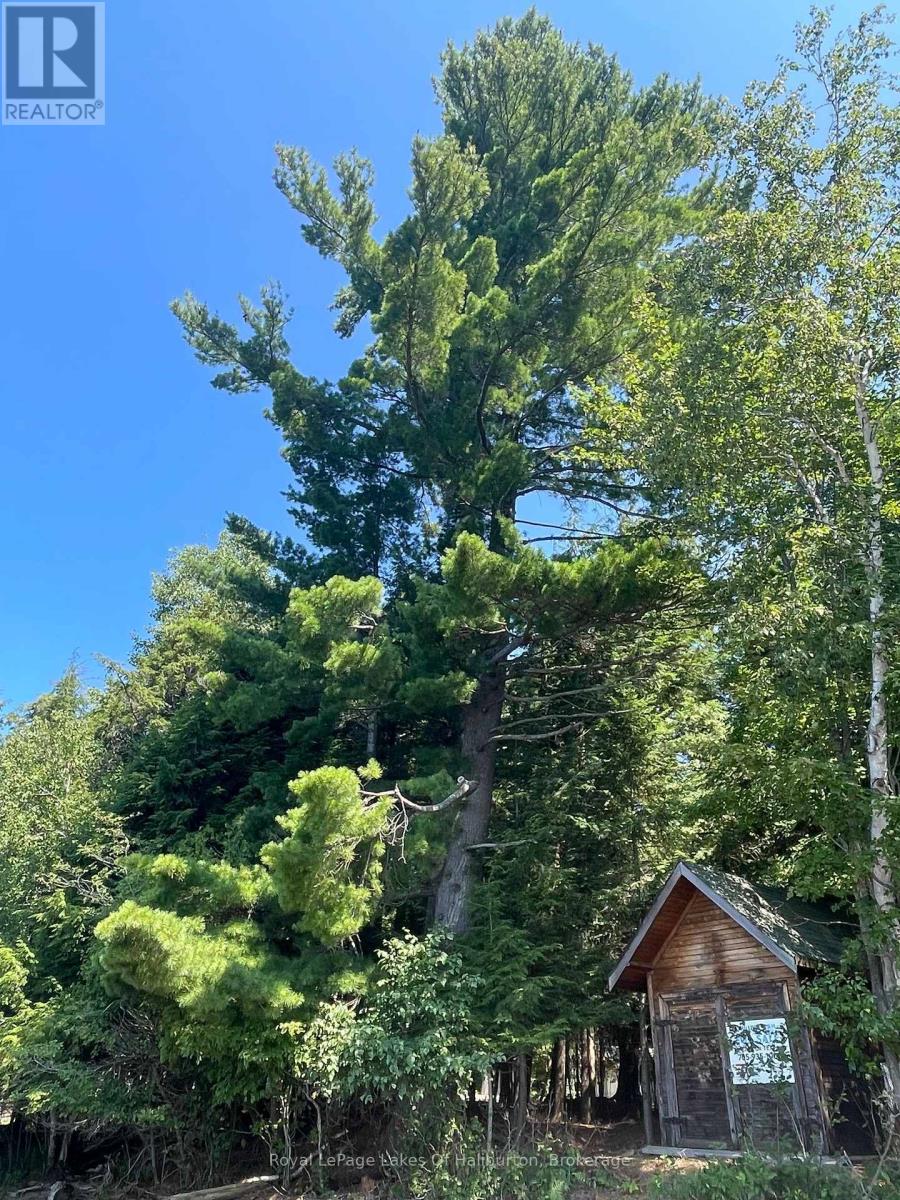1046 Placid Lane, Algonquin Highlands, Ontario  K0M 1S0 - Photo 9 - X13719238