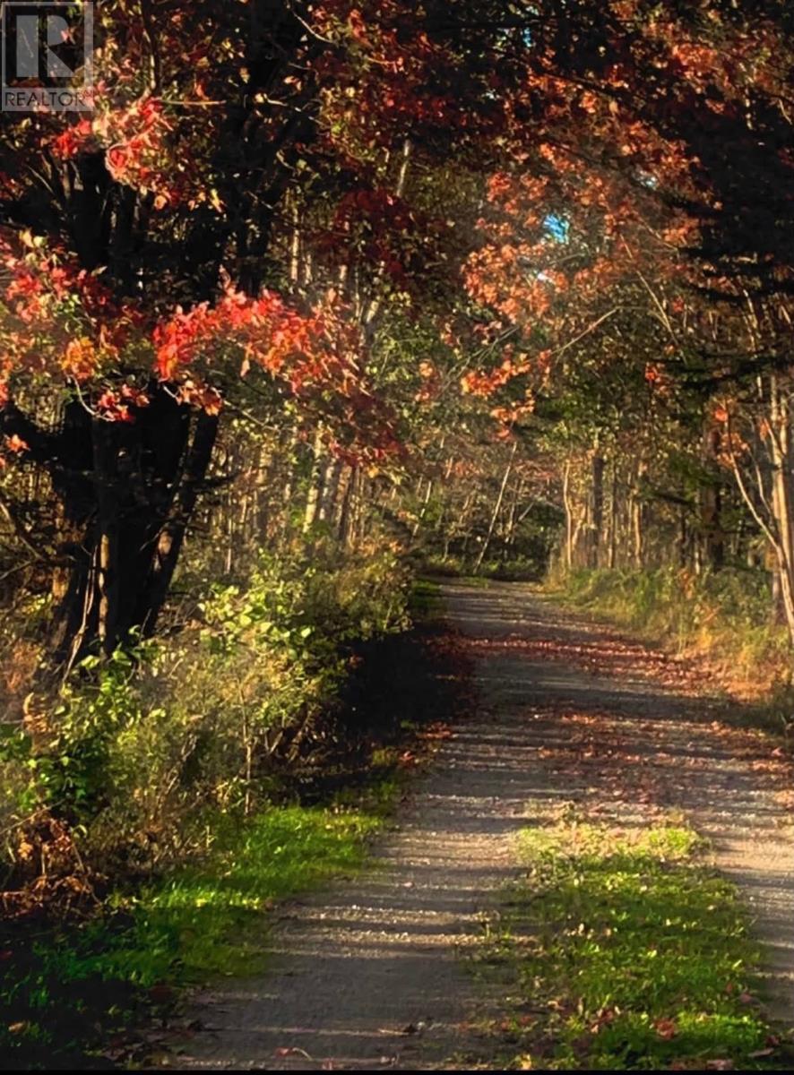 picture 34