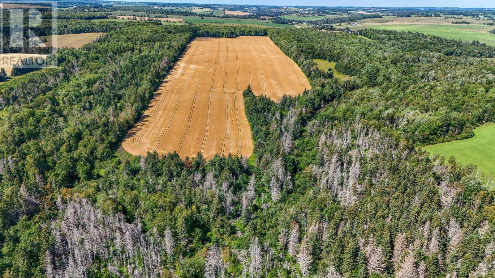Bannockburn Road, Clyde River, Prince Edward Island  C0A 1H0 - Photo 21 - 202621790