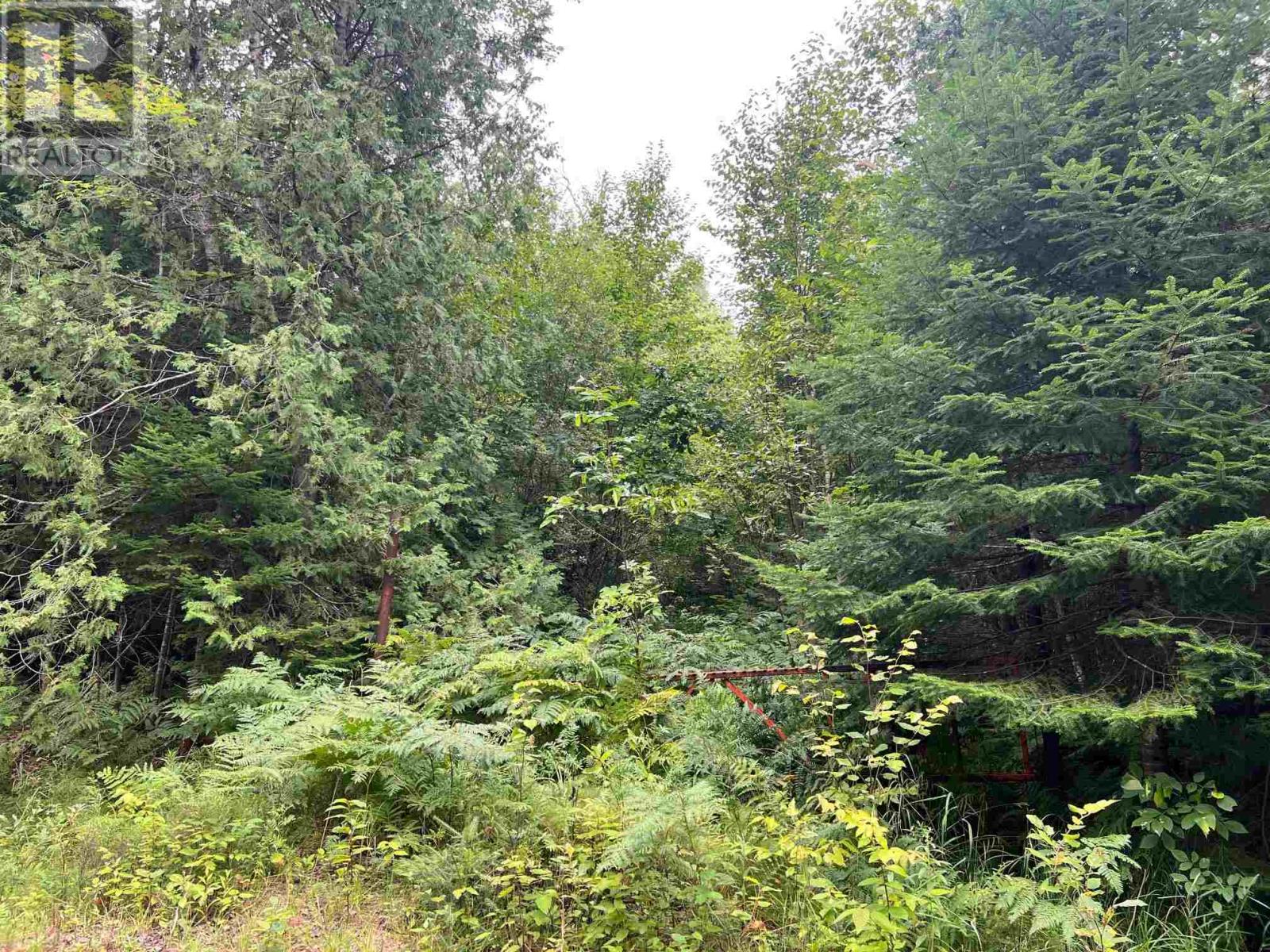 Pt Lot 5 Boat Launch Rd, Blind River, Ontario  P0R 1B0 - Photo 4 - SM262354