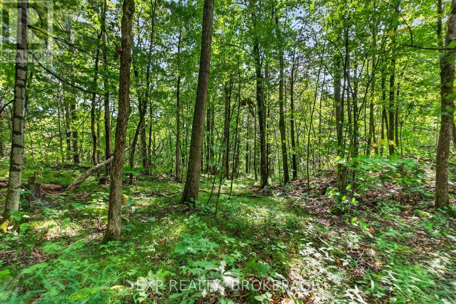Pt Lt 23 Con 7 Pebble Lane S, Frontenac, Ontario  K0H 2L0 - Photo 14 - X13695370