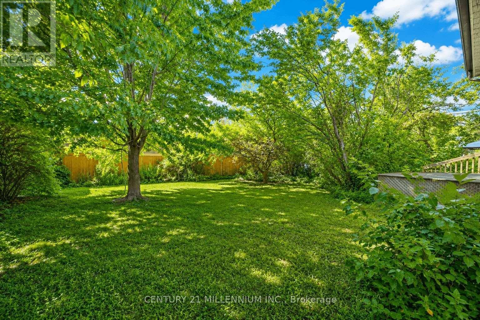 169 Ranee Avenue, Toronto, Ontario  M6A 1N3 - Photo 26 - C13721736