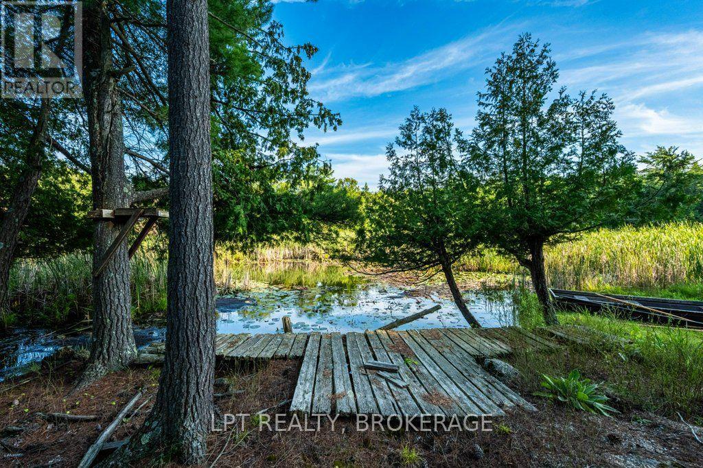 131 Leisure Point Road, Rideau Lakes, Ontario  K0G 1X0 - Photo 4 - X13721920