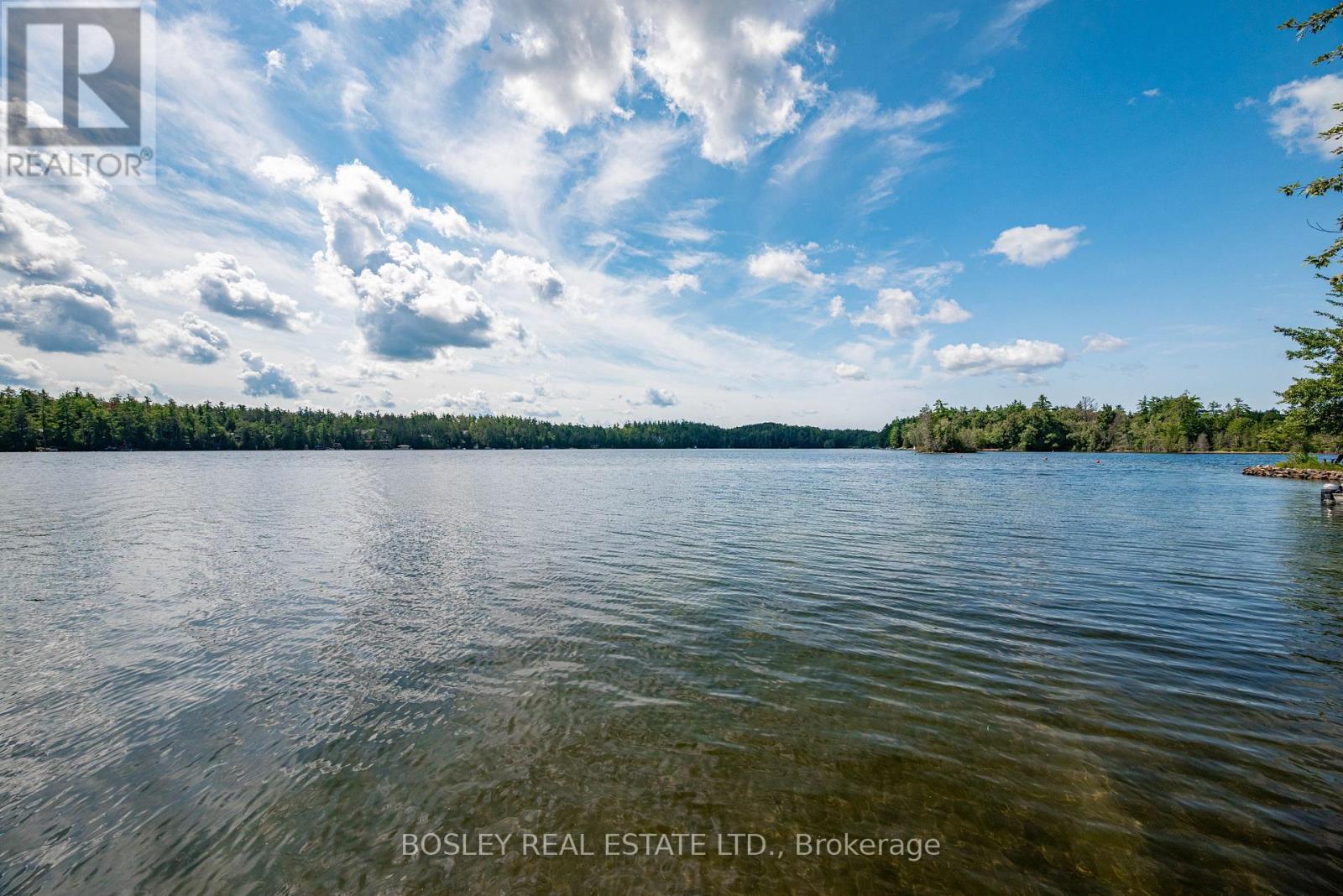 88 Anne Drive, Trent Lakes, Ontario  K0M 2A0 - Photo 3 - X13721772