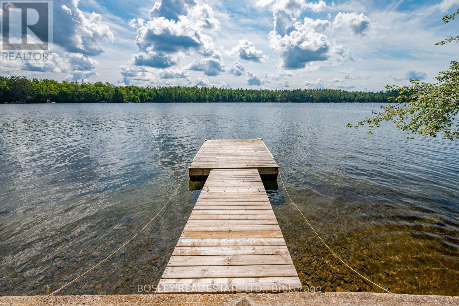 88 Anne Drive, Trent Lakes, Ontario  K0M 2A0 - Photo 38 - X13721772