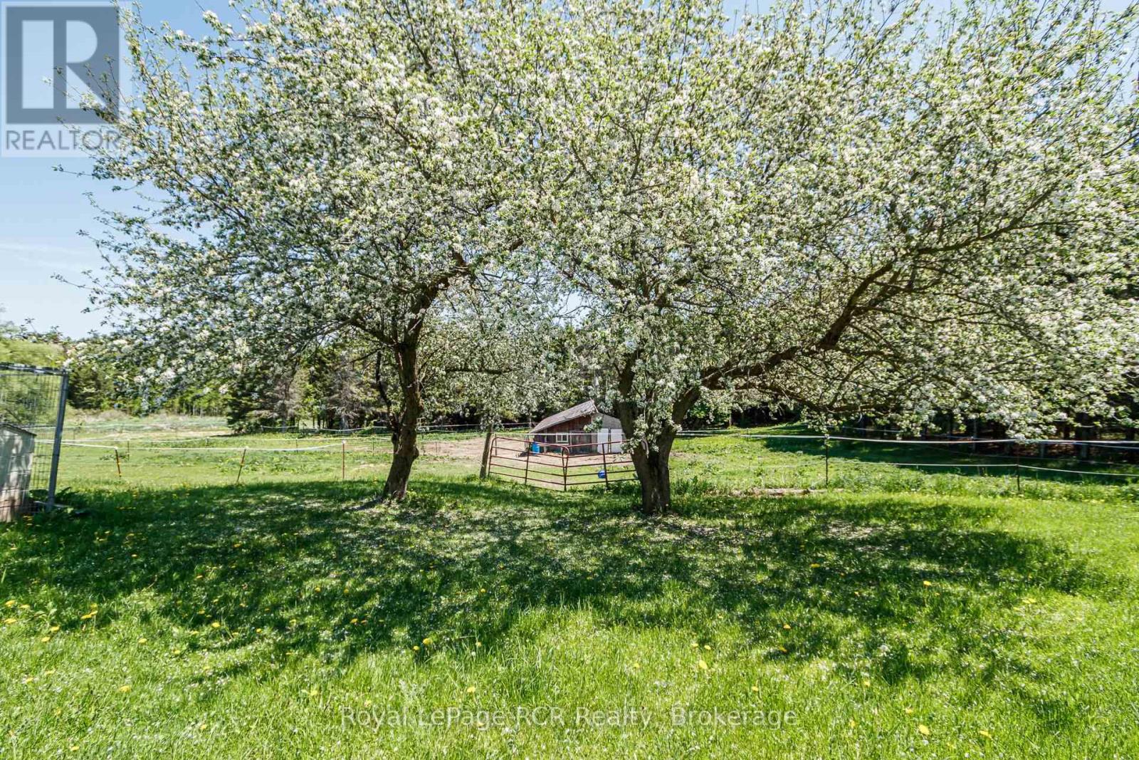 2553 County Road 42, Clearview, Ontario  L0M 1S0 - Photo 32 - S13722014