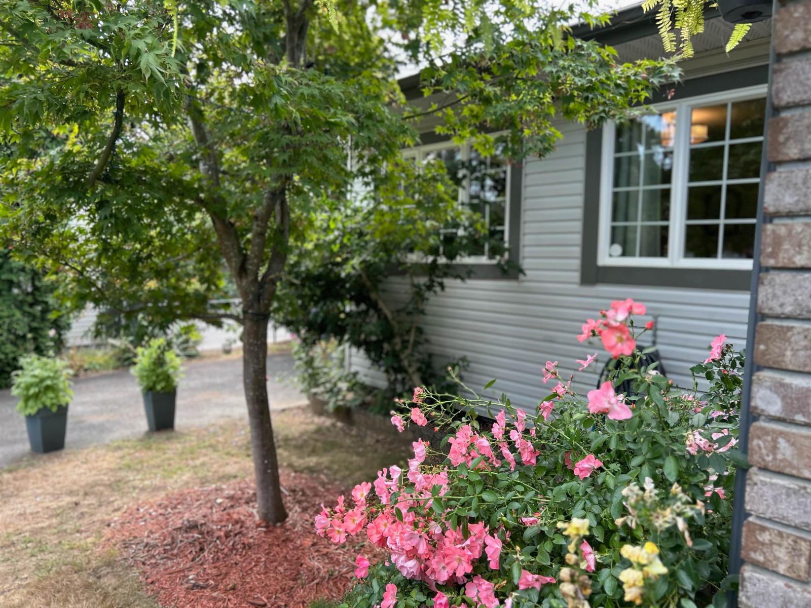 7597 Wren Street, Mission, British Columbia V2V 3C2 - Photo 25 - R3158922