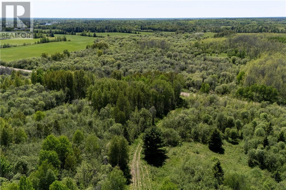 Lot 1 De L'etang, West Nipissing, Ontario  P2B 2P6 - Photo 12 - 2128296