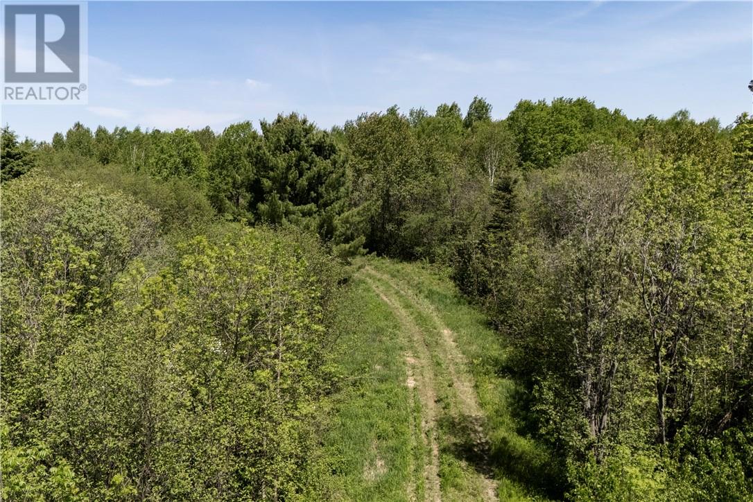 Lot 1 De L'etang, West Nipissing, Ontario  P2B 2P6 - Photo 13 - 2128296