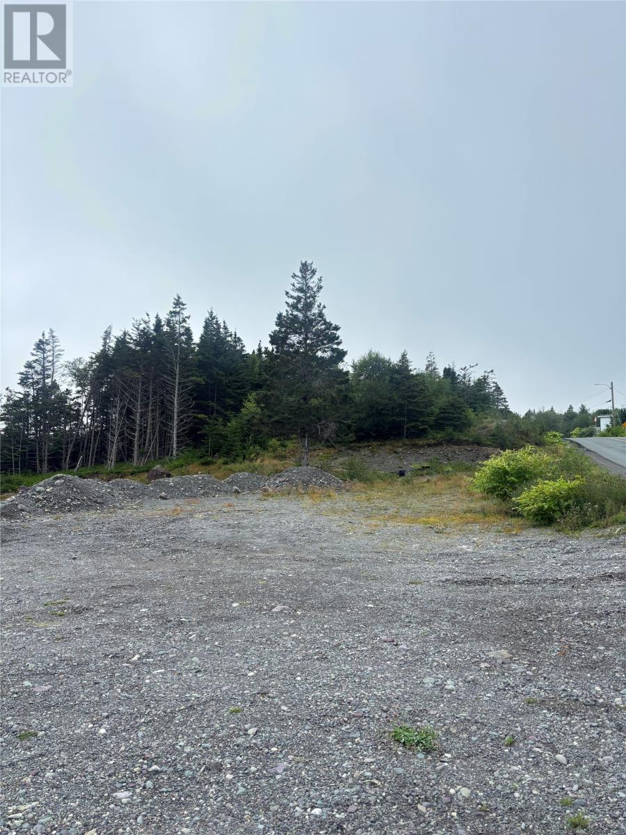 123-139 Ferndale Road, Placentia, Newfoundland & Labrador  A0B 2G0 - Photo 10 - 1302446