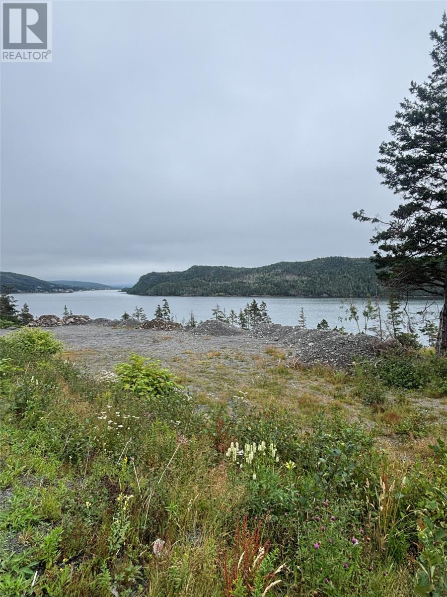 123-139 Ferndale Road, Placentia, Newfoundland & Labrador  A0B 2G0 - Photo 2 - 1302446