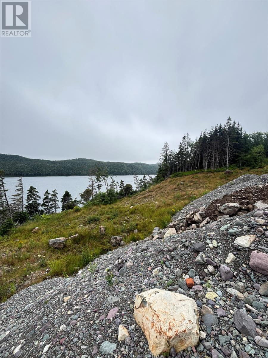123-139 Ferndale Road, Placentia, Newfoundland & Labrador  A0B 2G0 - Photo 4 - 1302446