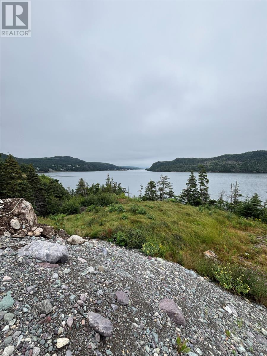 123-139 Ferndale Road, Placentia, Newfoundland & Labrador  A0B 2G0 - Photo 5 - 1302446