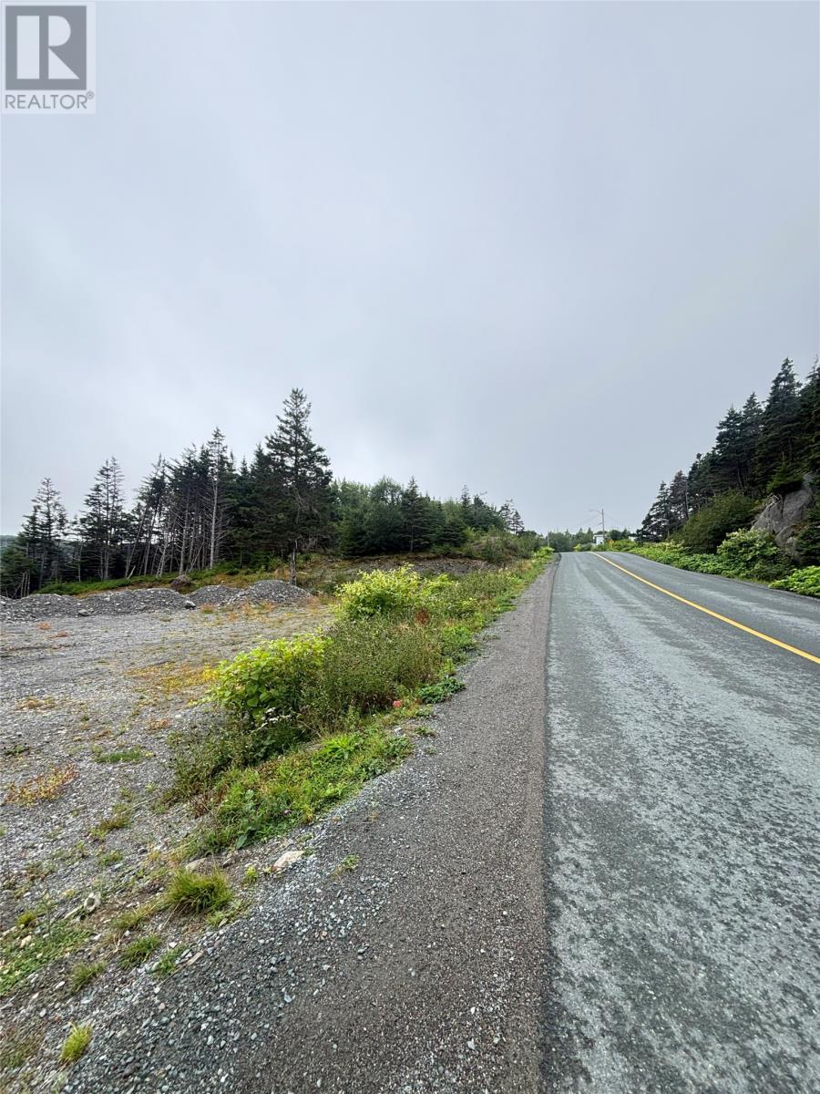 123-139 Ferndale Road, Placentia, Newfoundland & Labrador  A0B 2G0 - Photo 8 - 1302446