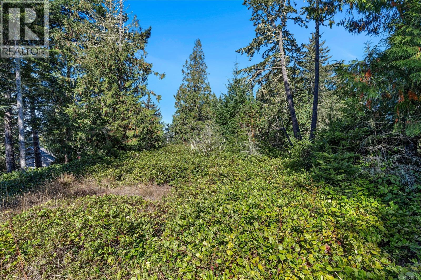 7355 Thornton Hts, Sooke, British Columbia  V9Z 1L8 - Photo 9 - 1048100