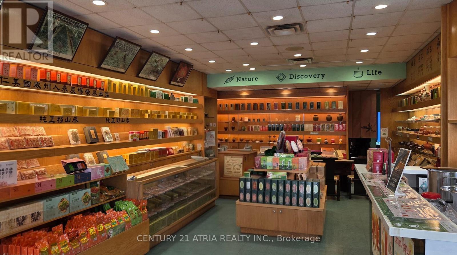 454 Dundas Street W, Toronto, Ontario  M5T 1G9 - Photo 5 - C13722434